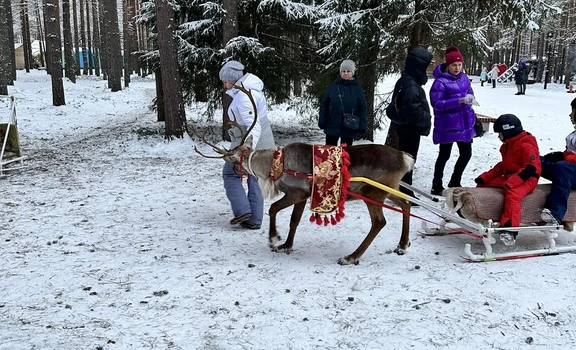 «В гости к Зимнему Волшебнику» (2 дня / 1 ночь) Архангельск 🎄
